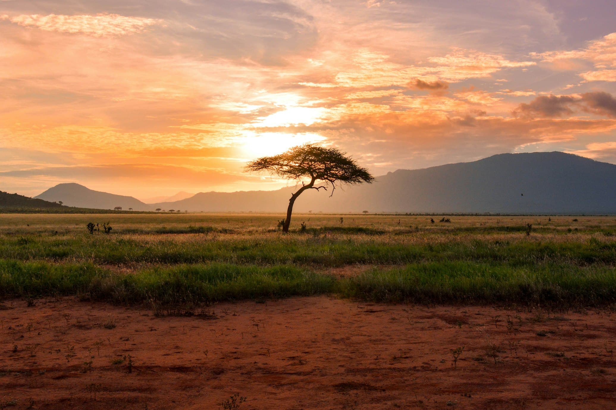 Preserving Africa’s Literary Heritage